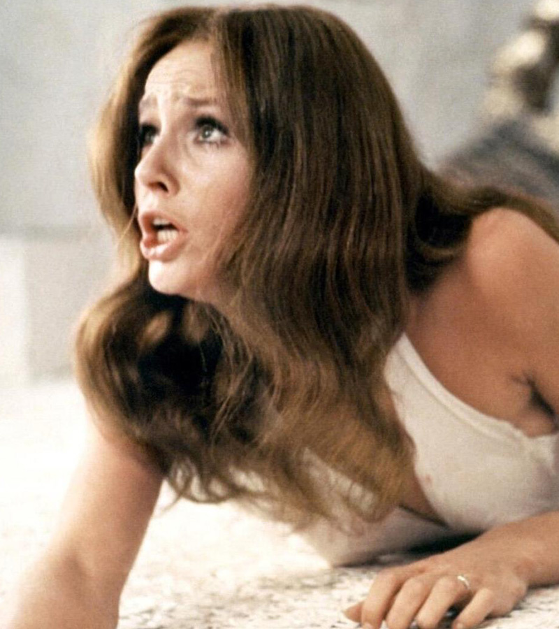 affiche du film L’Oiseau au plumage de cristal 