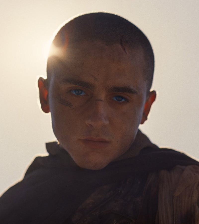 affiche du film REPRISE : Dune & Dune : Deuxième Partie
